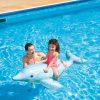 Floats & Toys INTEX | Lil' Dolphin Ride-On Inflatable Pool Float